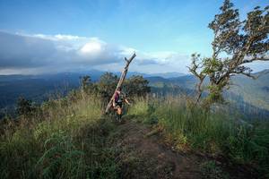 BIB: 
                            <button type="button" onclick="openModal(22445114)" class="btn btn-primary btn-sm float-right btn-popup" data-toggle="modal" data-target=".modal-high-quality">
                        <i class="fas fa-shopping-cart"></i> Add to Cart
                    </button>
                                            <button type="button" onclick="isThisMe(22445114, true)" class="btn btn-success btn-sm float-right btn-popup btn-isme hidden" data-toggle="tooltip" data-placement="bottom" title="นี่คือรูปของคุณใช่ไหม คลิกที่นี่เพื่อเอาเข้าอัลบั้ม">
                        <i class="fas fa-plus"></i> Add to album
                    </button>
                    <button type="button" onclick="isThisMe(22445114, false)" class="btn btn-warning btn-sm float-right btn-popup btn-isnotme hidden">
                        <i class="fas fa-ban"></i> Remove from album
                    </button>